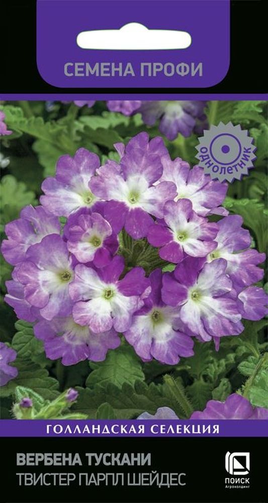Изображение товара Семена Вербена Тускани 10 шт - качественные семена для садоводов