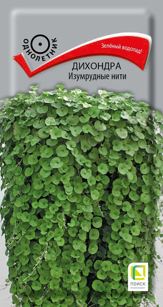 Изображение товара Семена дихондра изумрудные нити 5 шт для украшения сада и ландшафта