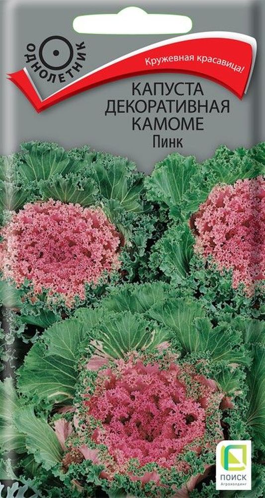Изображение товара Декоративные семена капусты Камоме пинк 10 шт - яркое оформление сада