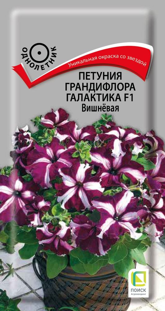Изображение товара Семена Петунии Галактика вишневая 10 шт для цветников и клумб