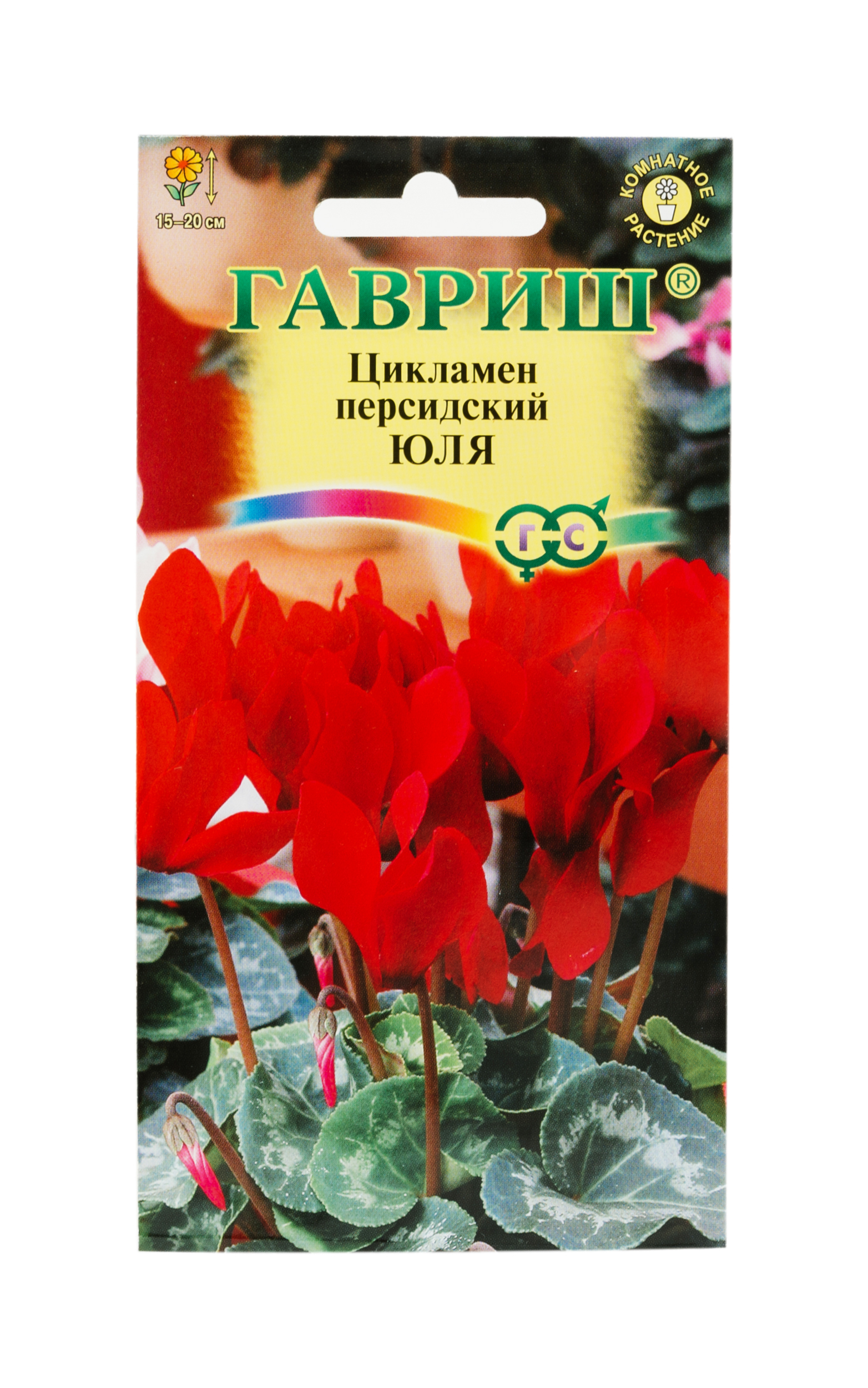 Изображение товара Семена цикламен Юлия персидский 3 шт - яркое украшение сада и дома