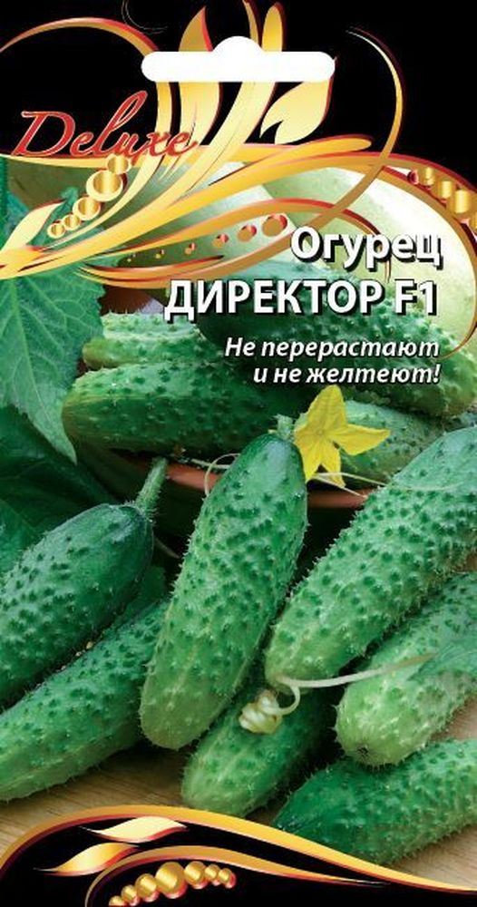 Изображение товара Семена Огурца Директор F1 7 шт для успешного огородничества