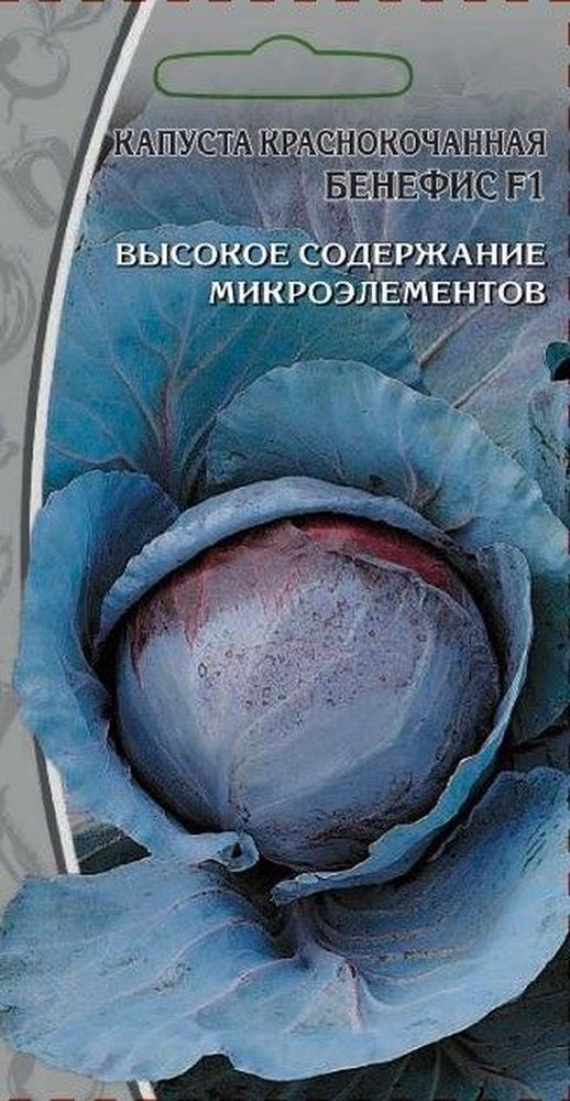 Изображение товара Семена Капусты краснокочанная Бенефис 0,3 г