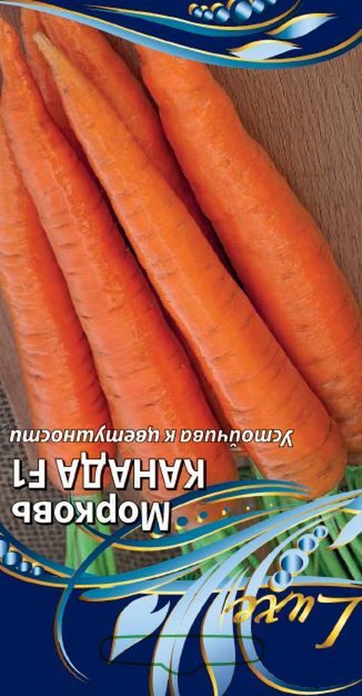 Изображение товара Семена Моркови Канада F1 0,5 г для выращивания в саду