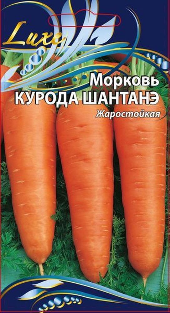 Изображение товара Семена Моркови Курода шантанэ 1 г