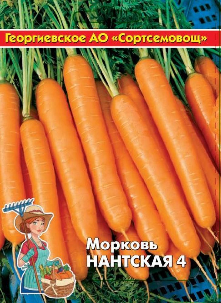 Изображение товара Семена Моркови Нантская 10 г - качественный посадочный материал для выращивания моркови