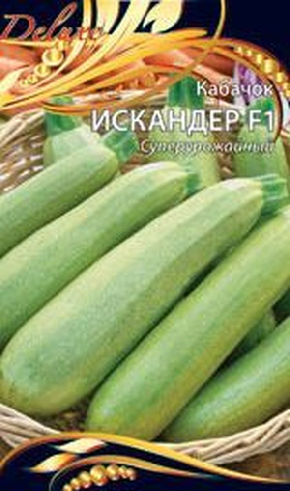 Изображение товара Семена Кабачка Искандер 5 шт