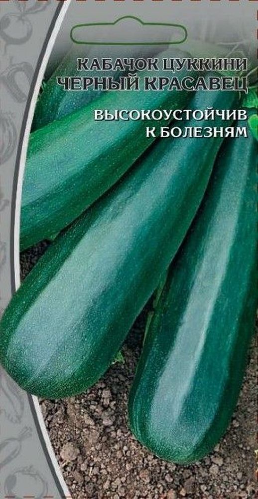 Изображение товара Семена Кабачка Черный красавец 1 г