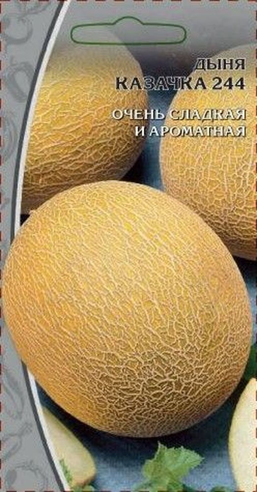 Семена дыни Ваше хозяйство Семена Дыня Казачка 1 г