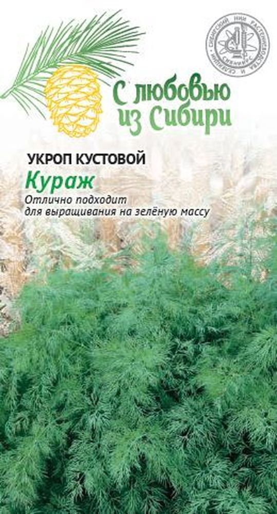 Изображение товара Семена укроп кураж 2 г