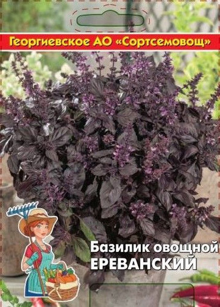 Изображение товара Семена базилик ереванский 5 г