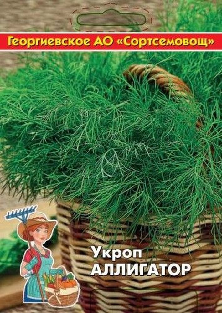 Изображение товара Семена укроп аллигатор 10 г