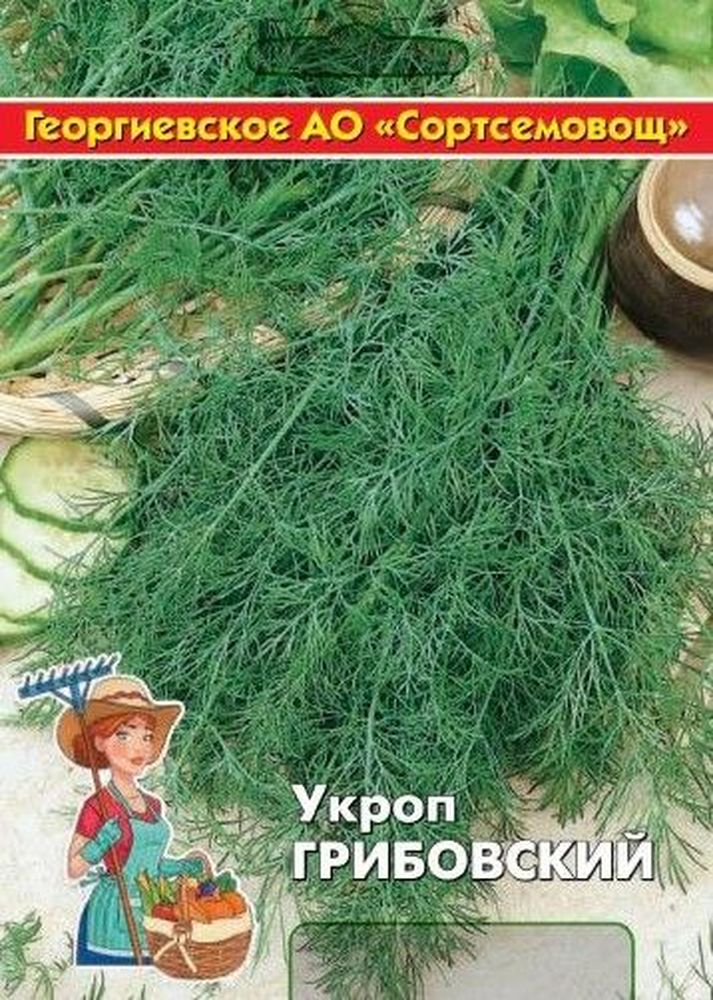 Изображение товара Семена укроп грибовский 10 г