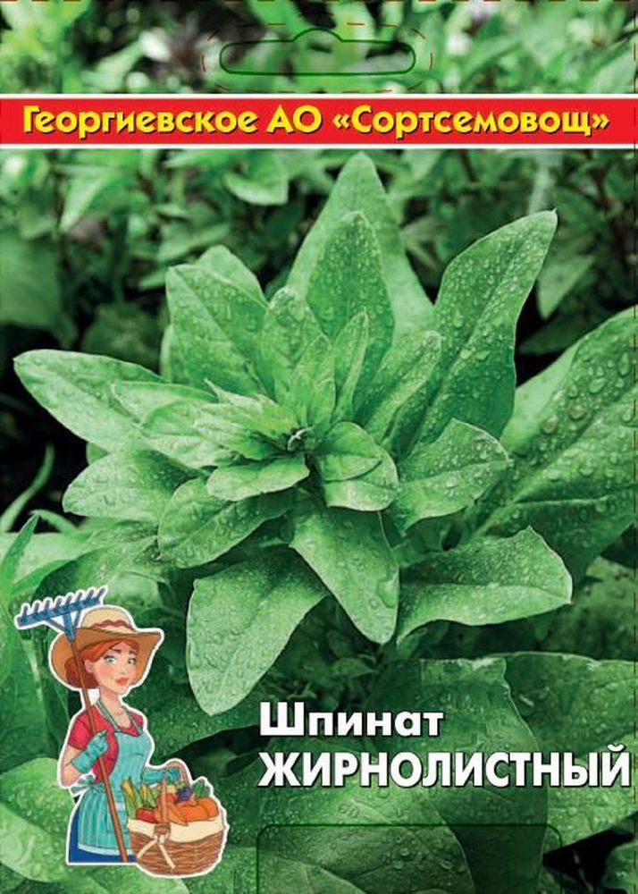 Изображение товара Семена шпинат жирнолистный 10 г для домашнего выращивания раннеспелый сорт