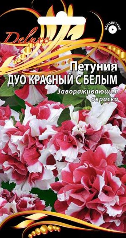 Изображение товара Семена петуния красный с белым 10 шт