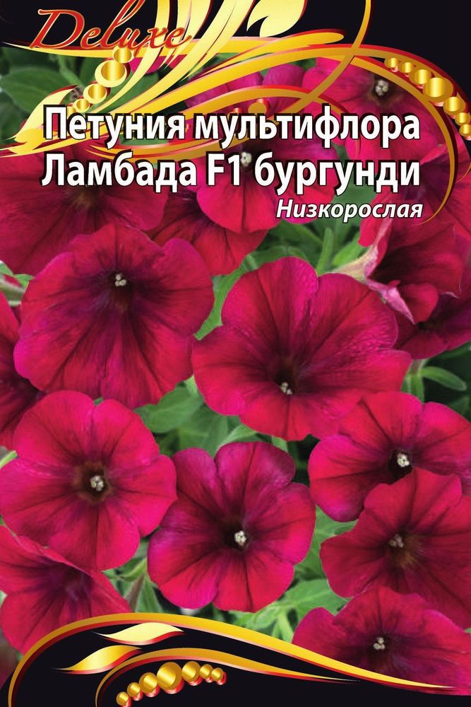 Изображение товара Семена петуния ламбада бургунди 10 шт