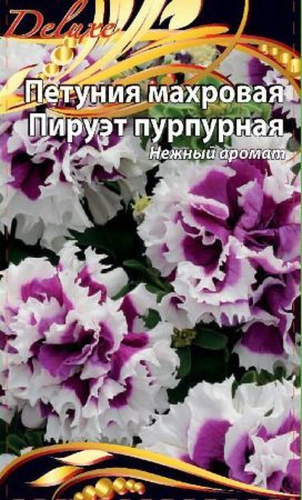 Изображение товара Семена петуния пируэт пурпурная 10 шт