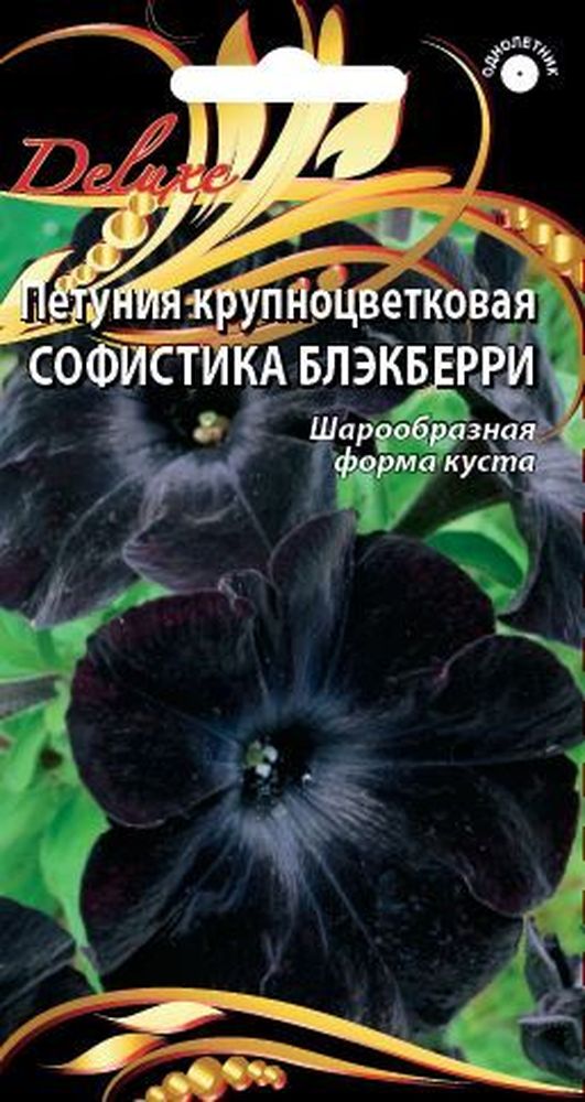 Изображение товара Семена петунии Софистка Блэкберри 5 шт для ярких клумб и балконов