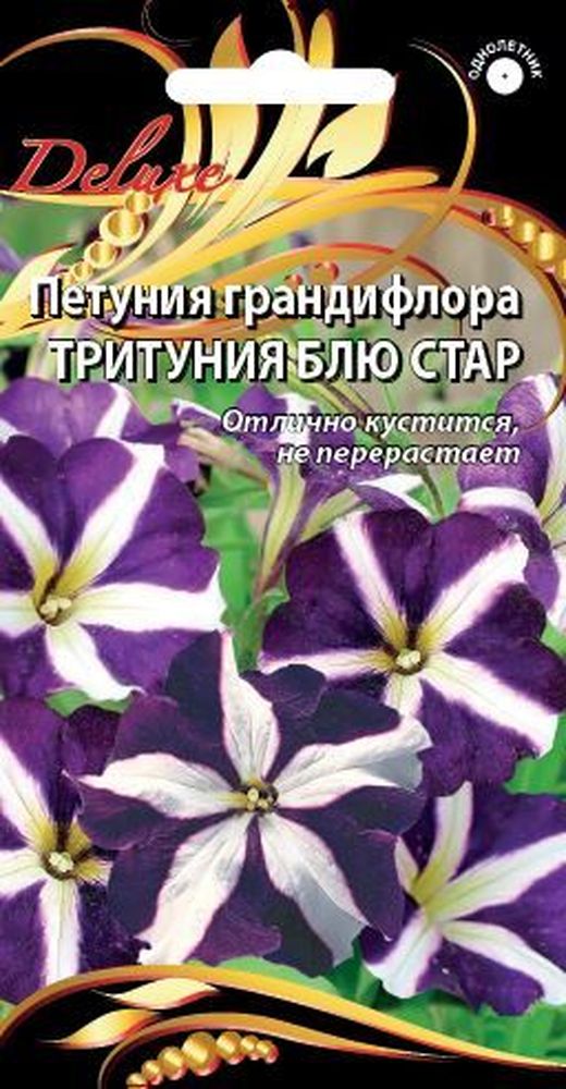 Изображение товара Семена петунии тритуния блю стар 20 шт яркое цветение и устойчивость