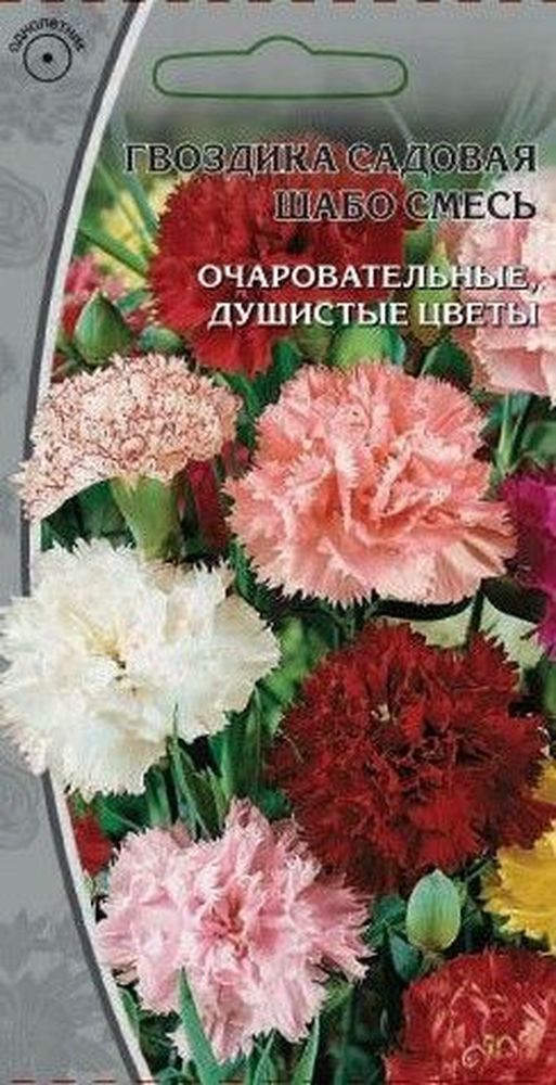 Изображение товара Семена гвоздика шабо смесь 0,2 г