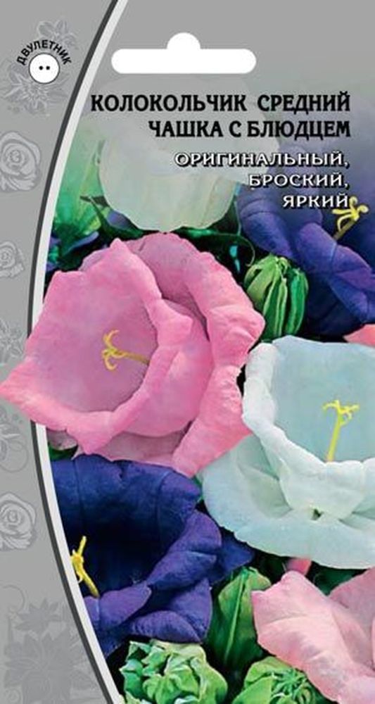 Изображение товара Семена колокольчик чашка с блюдцем 0,2 г