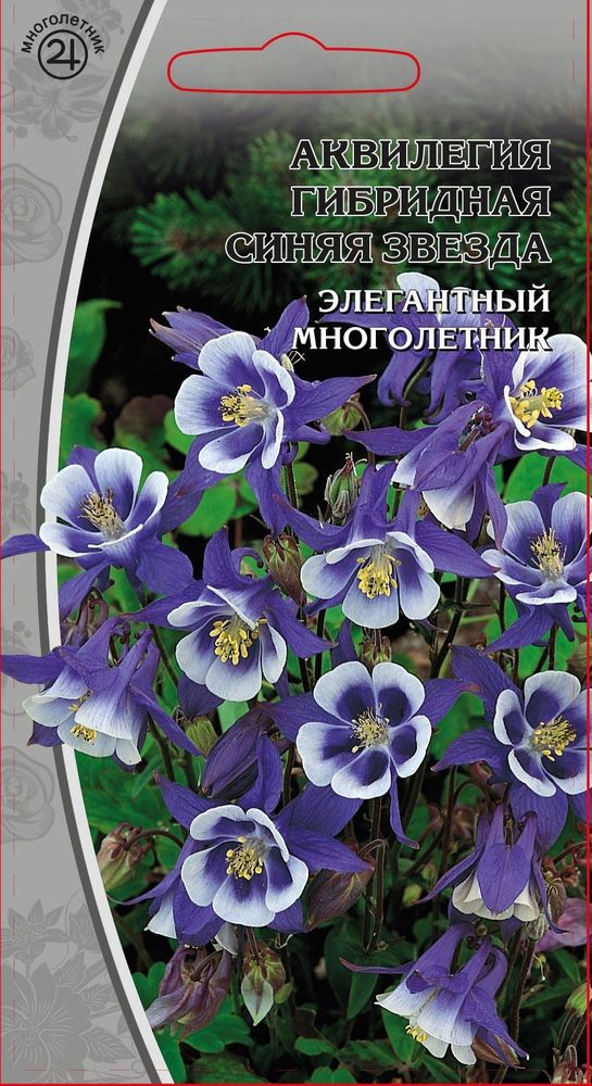 Изображение товара Семена аквилегия синяя звезда 0,05 г