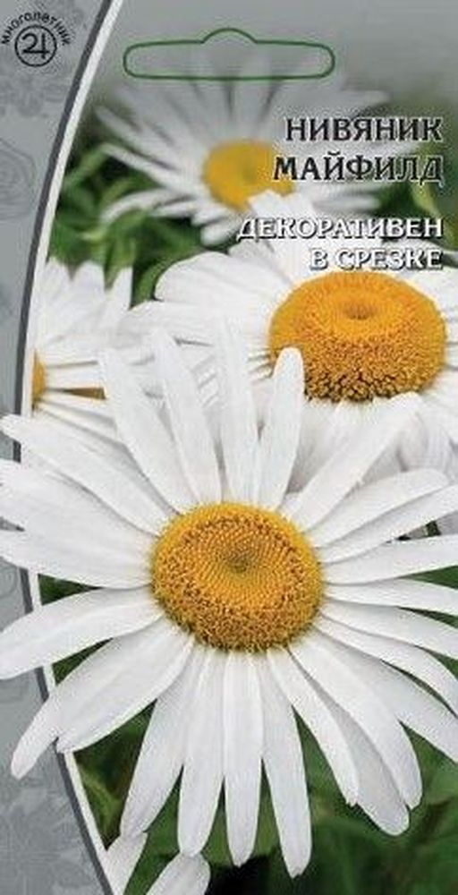 Изображение товара Семена нивяник майфилд 0,3 г