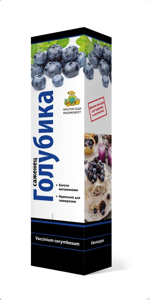Изображение товара Растение голубика Сиерра C1 H37 см - крупные ароматные ягоды
