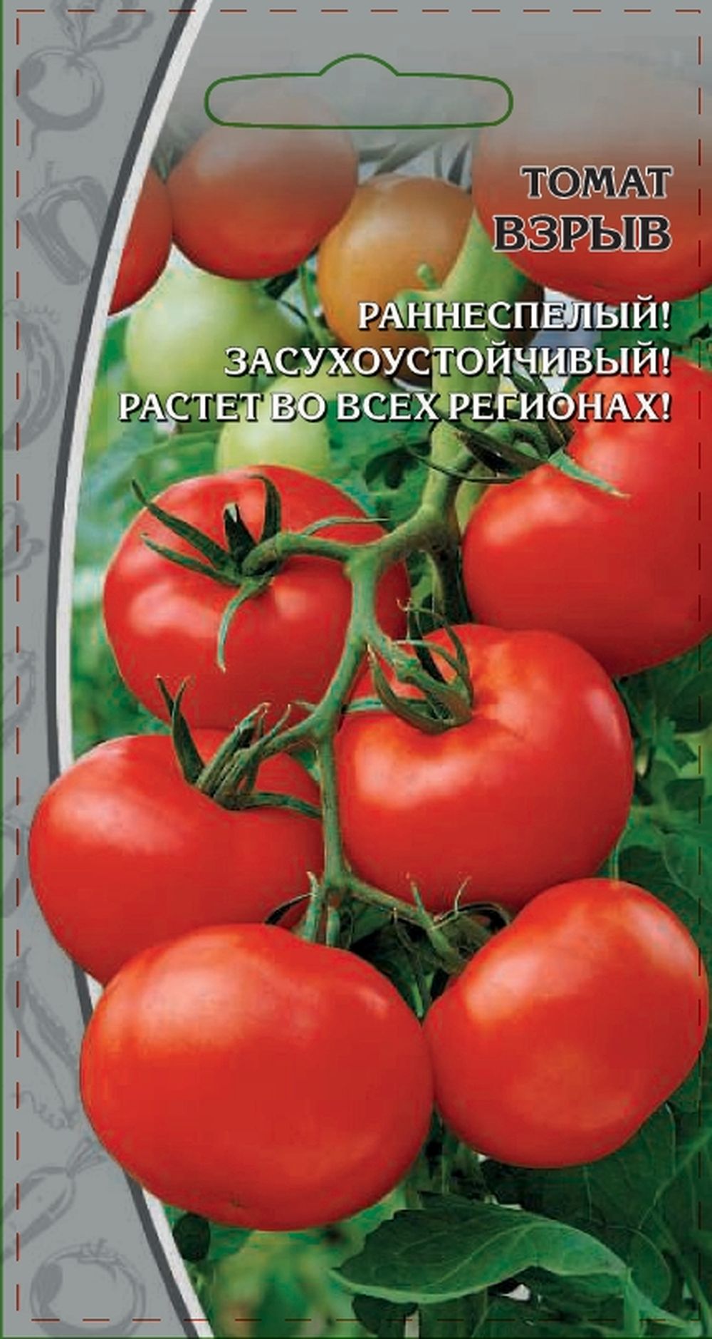 Томат комнатный сибиряк отзывы фото урожайность характеристика