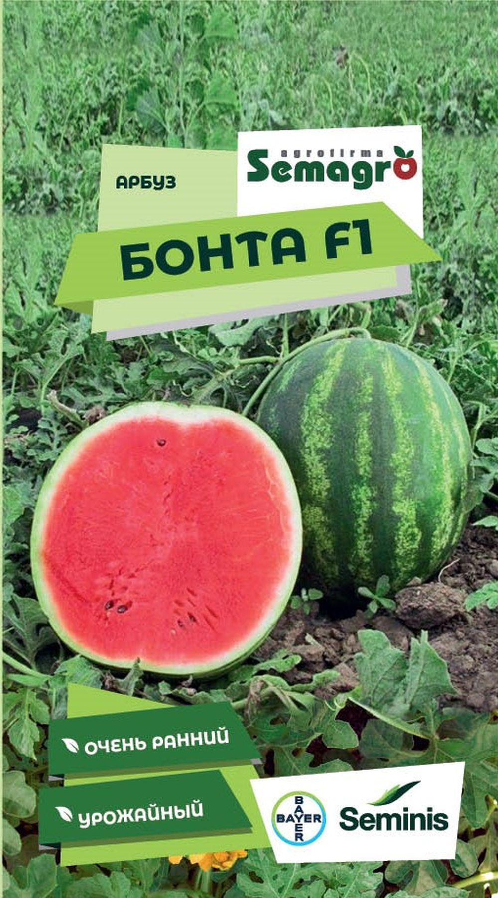 Изображение товара Семена арбуза SEMINIS БОНТА F1