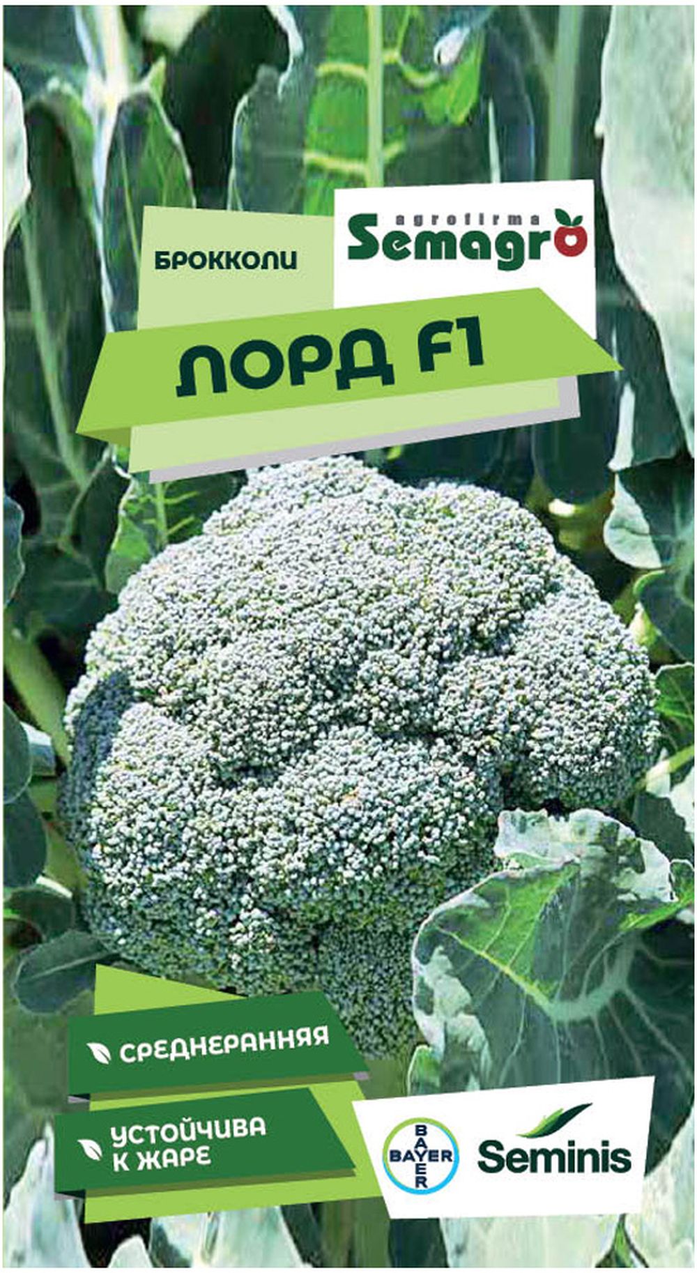 Изображение товара Семена брокколи SEMINIS ЛОРД F1
