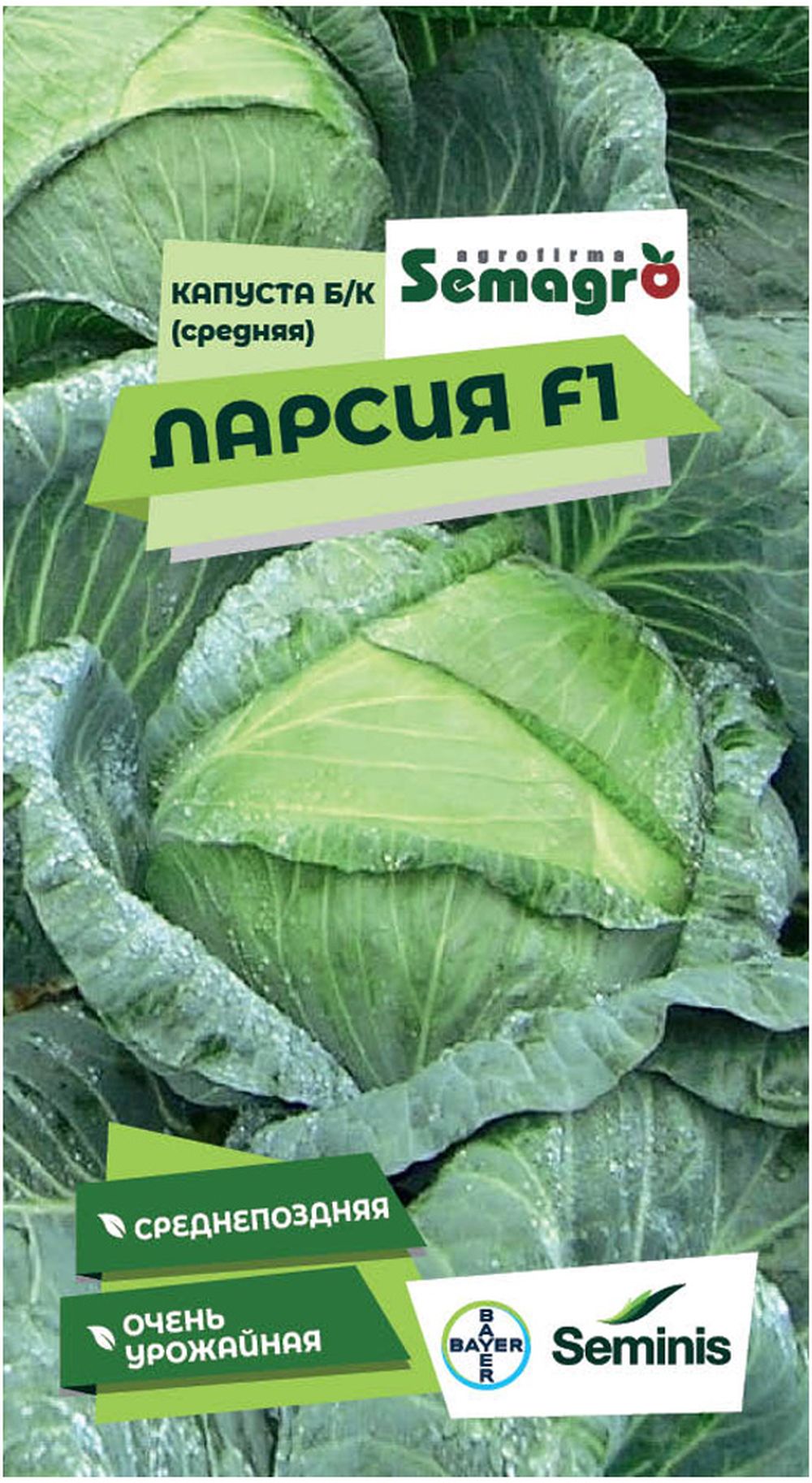 Изображение товара Семена капусты белокочанной SEMINIS ЛАРСИЯ F1