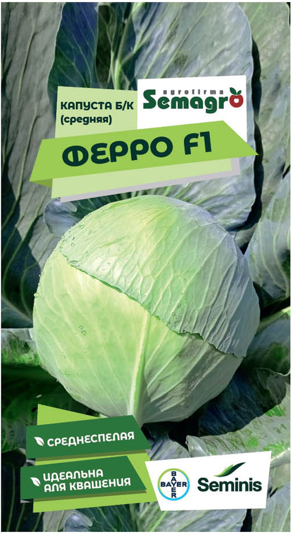 Изображение товара Семена капусты белокочанной SEMINIS ФЕРРО F1