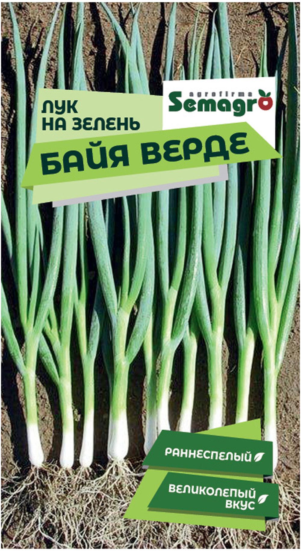 Изображение товара Семена лука на зелень SEMINIS БАЙЯ ВЕРДЕ 200 штук для выращивания дома и на огороде