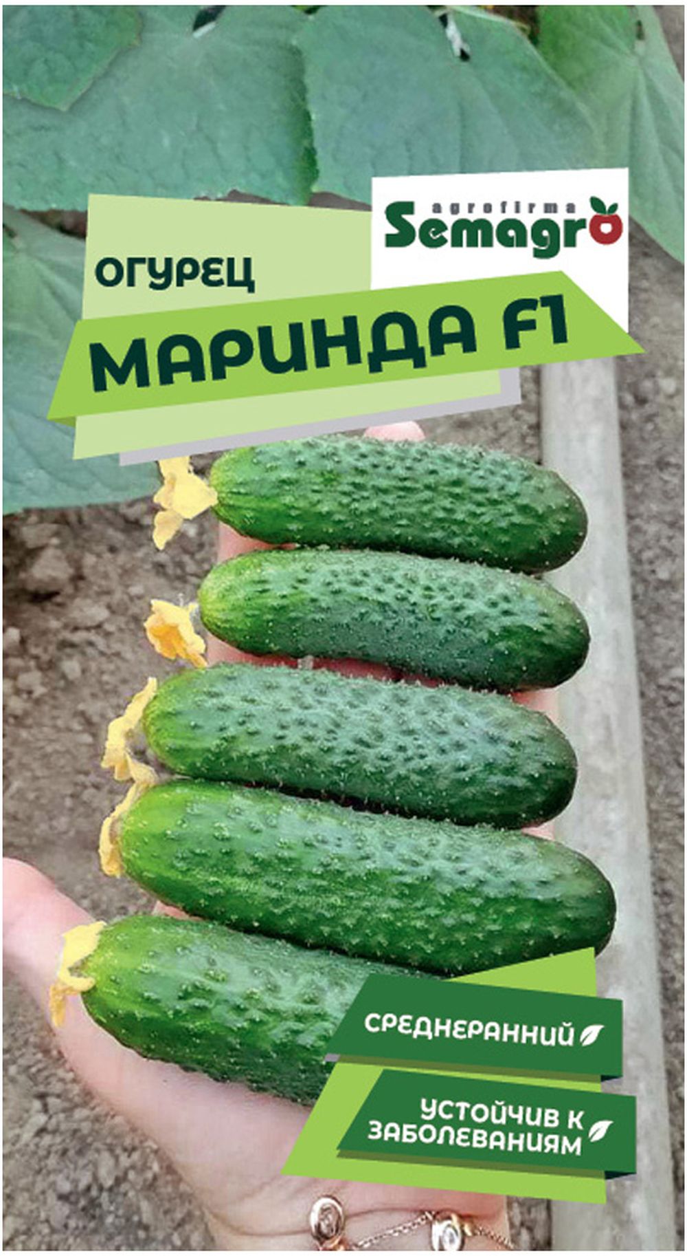 Изображение товара Семена огурца SEMINIS МАРИНДА F1