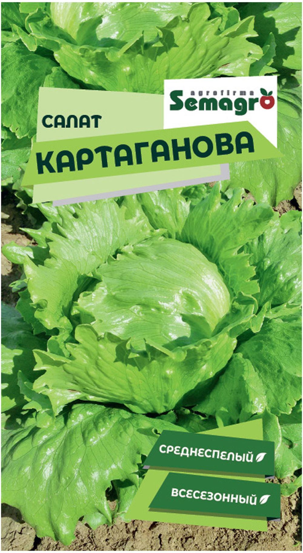 Изображение товара Семена салата SEMINIS КАРТАГАНОВ