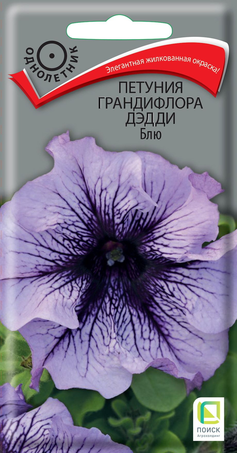 Изображение товара Семена петуния дэдди блю