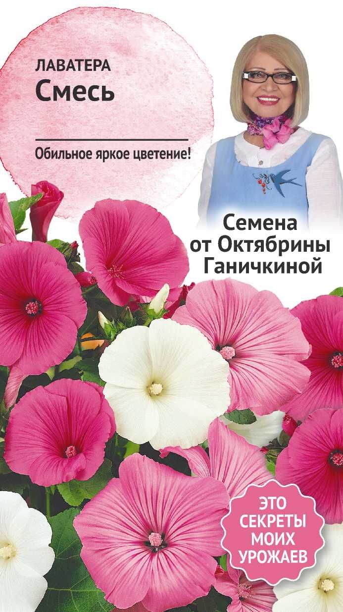 Изображение товара Семена Лаватера Смесь 0,1 г Семена от Октябрины Ганичкиной