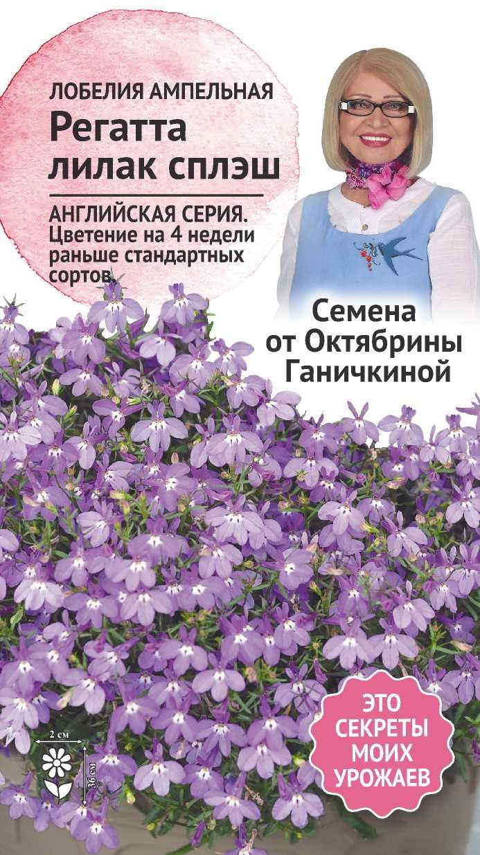 Изображение товара Семена Лобелия Регатта Лилак сплеш 10 шт Семена от Октябрины Ганичкиной