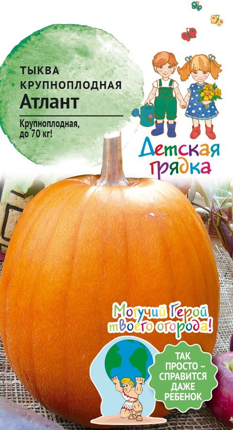 Изображение товара Семена Тыква крупноплодная Атлант 1,5 г Детская грядка
