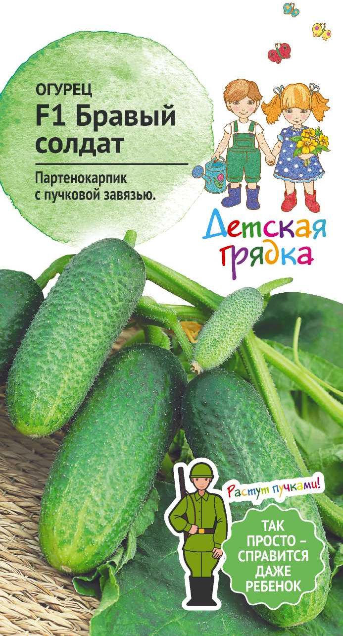Изображение товара Семена Огурец Бравый солдат 0,25г  Детская грядка