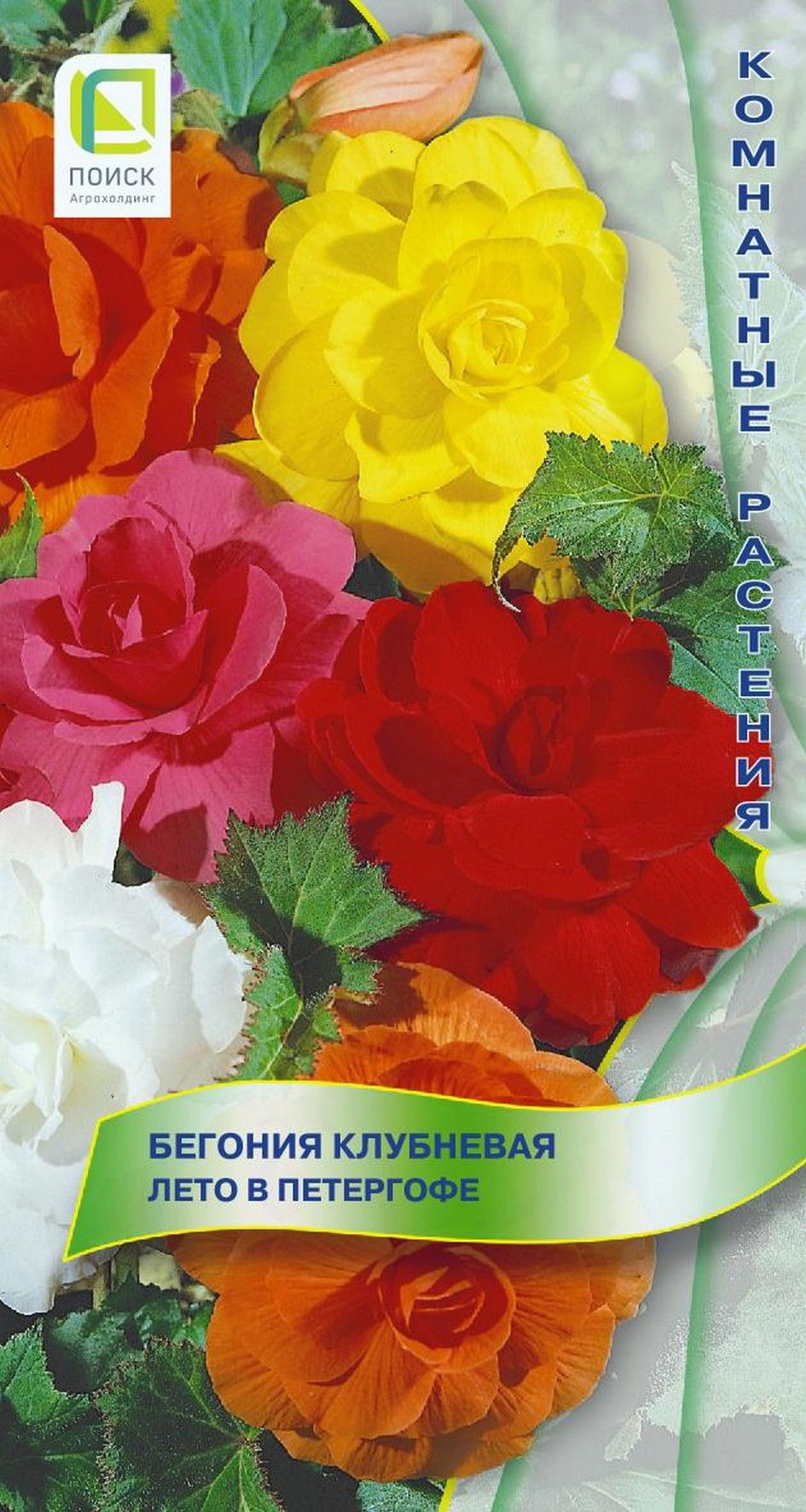 Изображение товара Семена бегонии лето в Петергофе многолетние цветы в упаковке