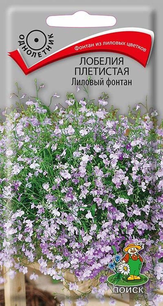 Изображение товара Семена лобелия лиловый фонтан