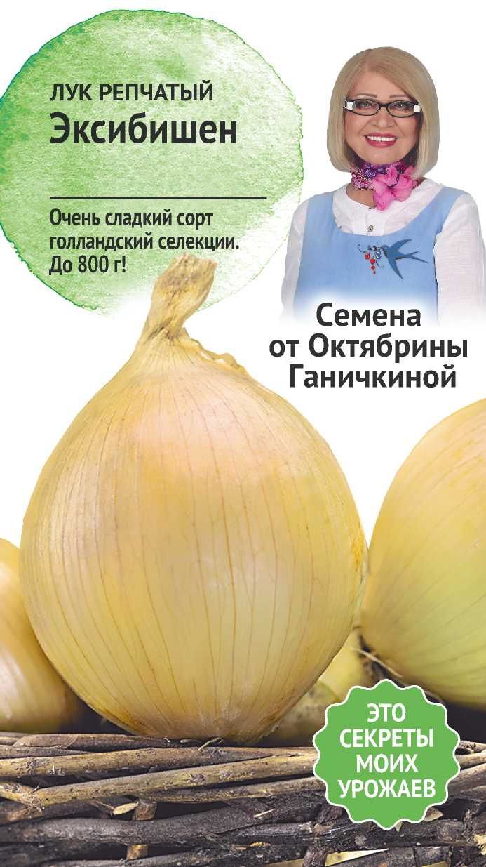 Изображение товара Семена Лук Эксибишен 0,15 г Семена от Октябрины Ганичкиной