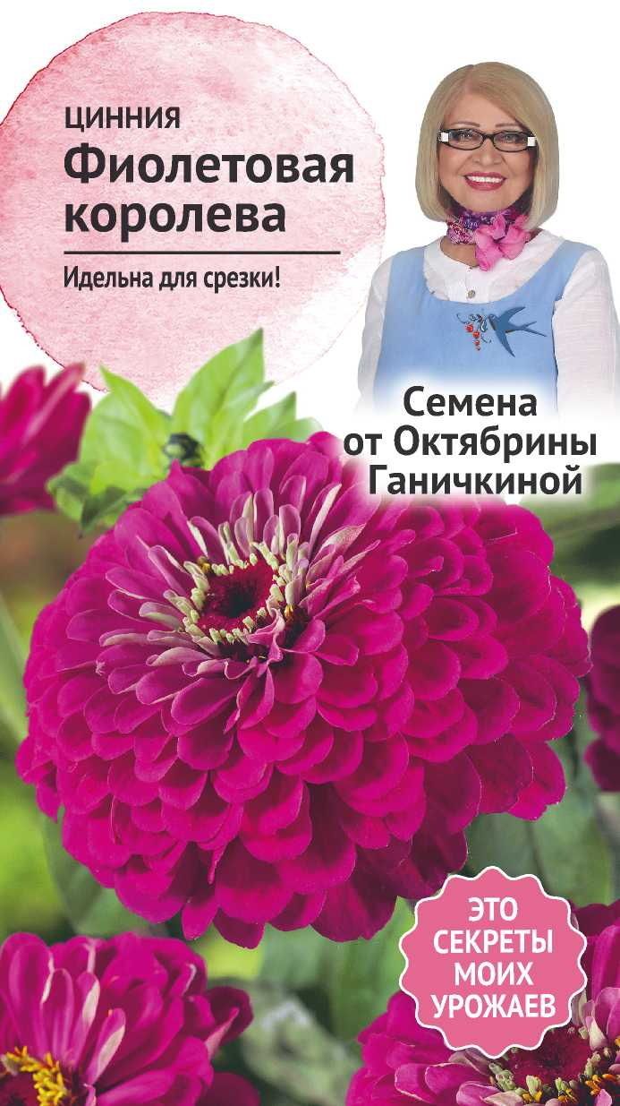 Изображение товара Семена Цинния Фиолетовая королева 0,5 г Семена от Октябрины Ганичкиной