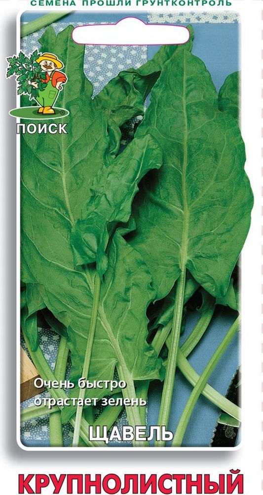 Изображение товара Семена щавель крупнолистный