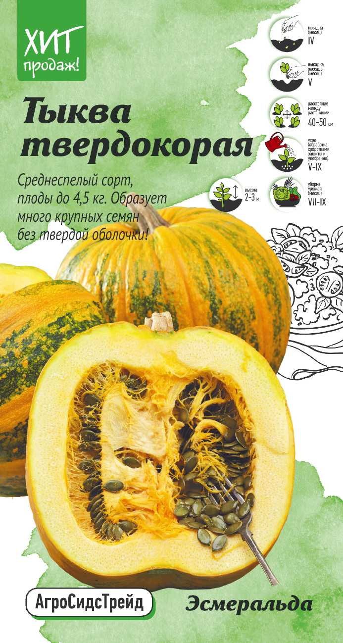 Изображение товара Семена тыквы твердокорая Эсмеральда 2г Агросидстрейд - крупные и урожайные для сада
