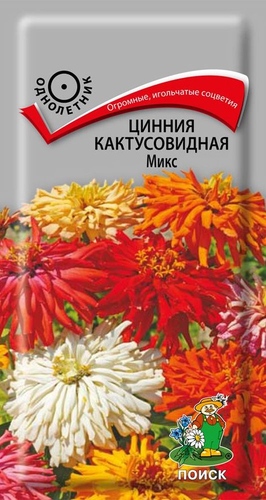 Изображение товара Семена цинния кактусовид микс