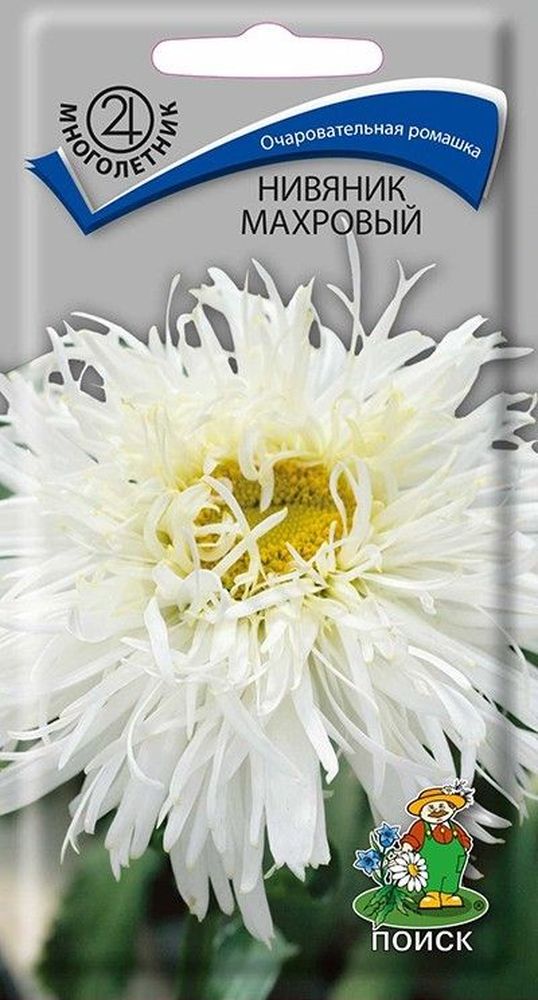 Изображение товара Семена нивяник махровый