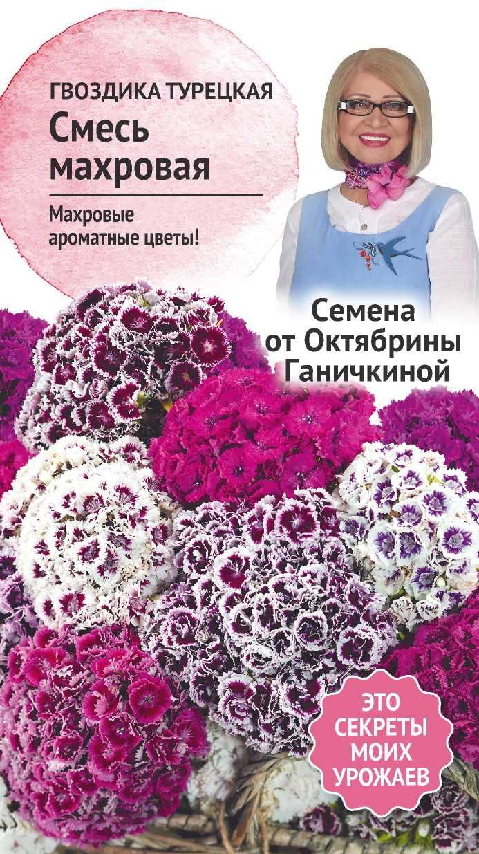 Изображение товара Семена Гвоздика турецкая Смесь махровая 0,2 г Семена от Октябрины Ганичкиной